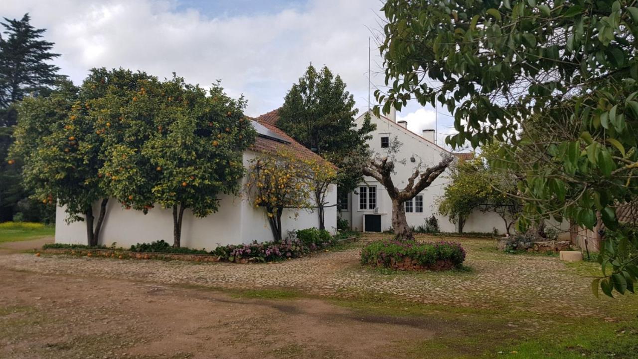 Hotel Quinta Do Cacador Estremoz Esterno foto